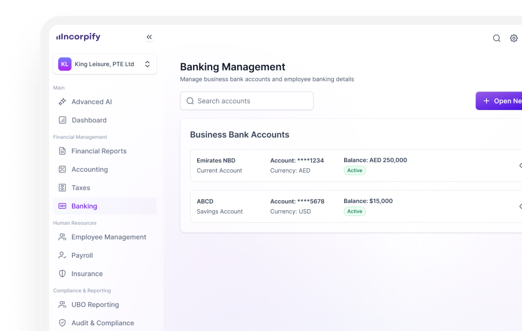 Incorpify platform preview